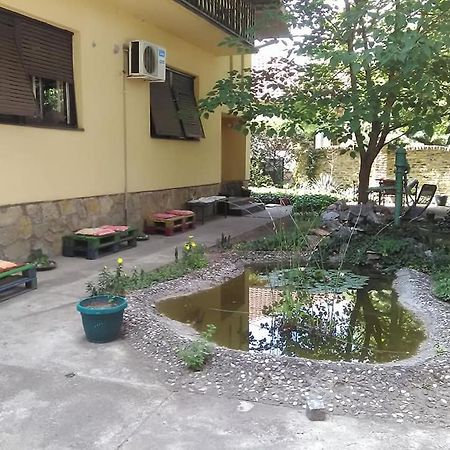 Smestaj U Okviru Domacinstva Sobe Sosa Palić Esterno foto