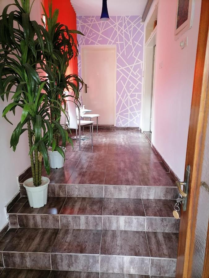 Smestaj U Okviru Domacinstva Sobe Sosa Palić Esterno foto