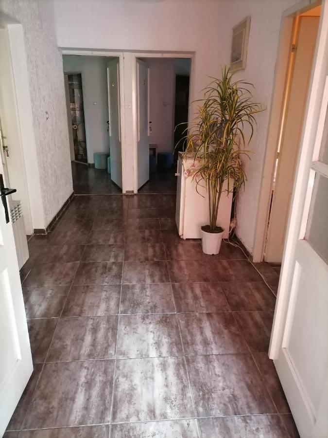 Smestaj U Okviru Domacinstva Sobe Sosa Palić Esterno foto