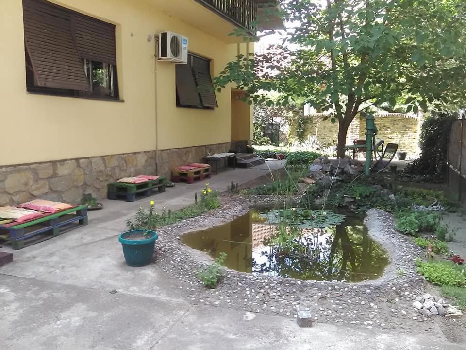Smestaj U Okviru Domacinstva Sobe Sosa Palić Esterno foto