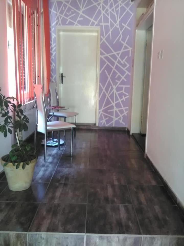 Smestaj U Okviru Domacinstva Sobe Sosa Palić Esterno foto